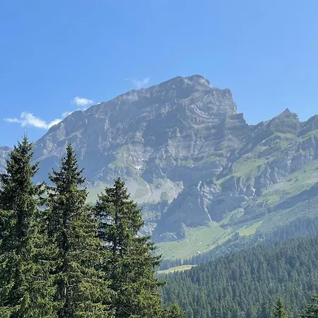 Alpe Des Chaux 61 03 *