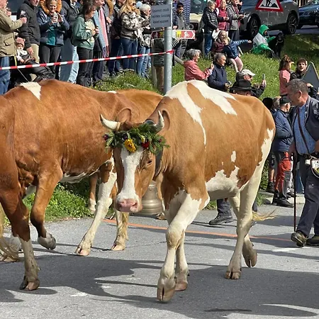 Alpe Des Chaux 61 03 Apartman