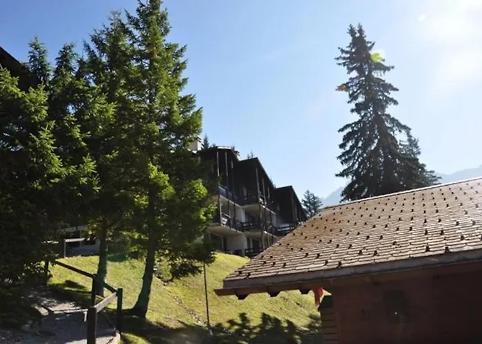 Alpe Des Chaux 61 03 * Gryon