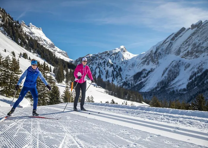 Alpe Des Chaux 61 03 Apartament Gryon