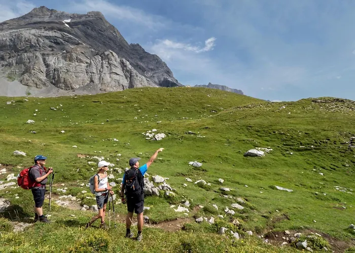 Alpe Des Chaux 61 03