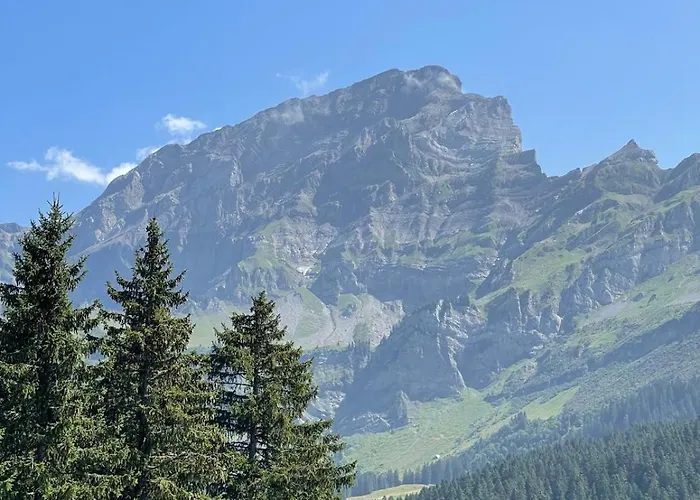 Alpe Des Chaux 61 03 *