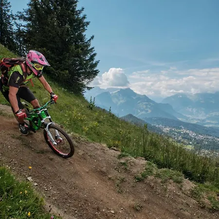 Alpe Des Chaux 61 03