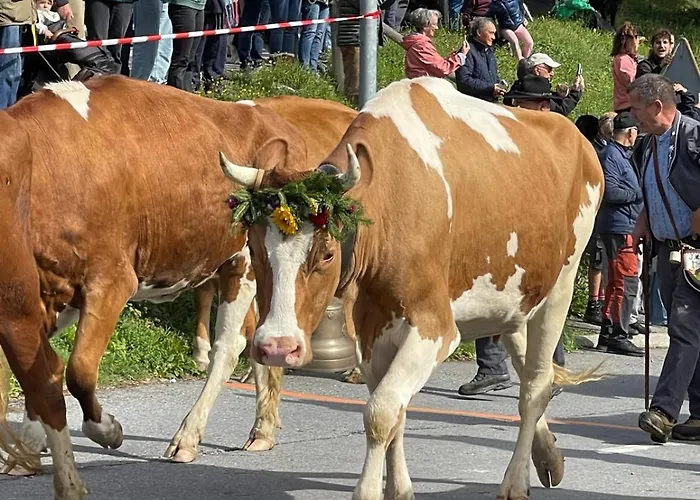 Alpe Des Chaux 61 03 아파트