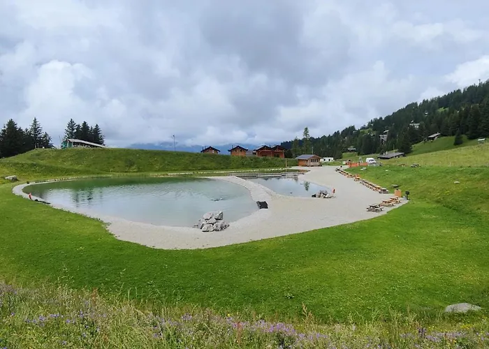 Alpe Des Chaux 61 03